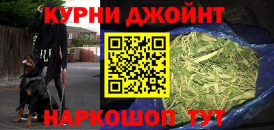 прущие грибы Обнинск