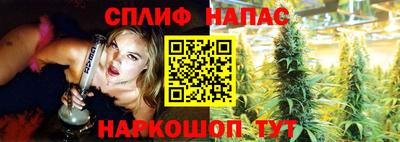 прущие грибы Обнинск