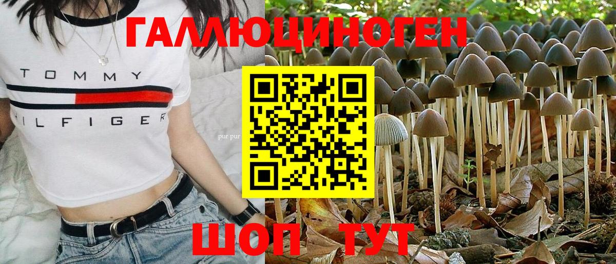 Галлюциногенные грибы мухоморы Советск