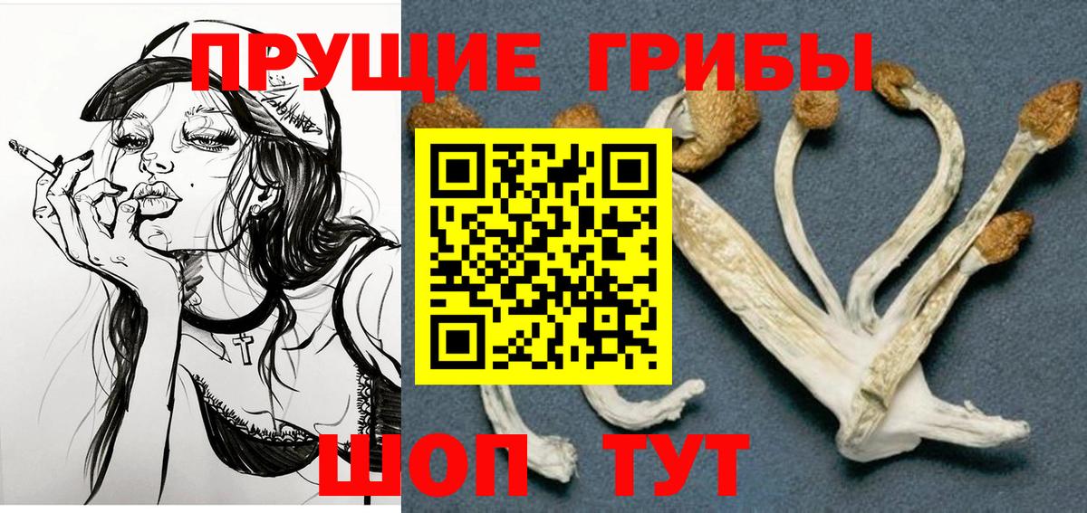 Псилоцибиновые грибы Cubensis  Вход с VPN  цены   Советск 
