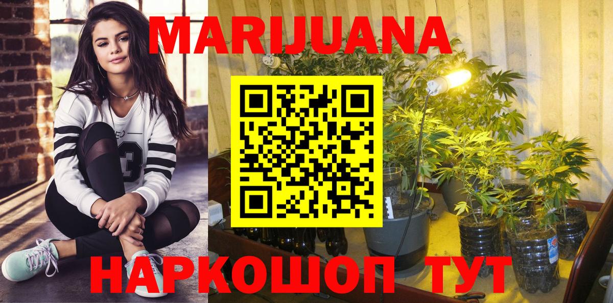 Шишки марихуана OG Kush Советск